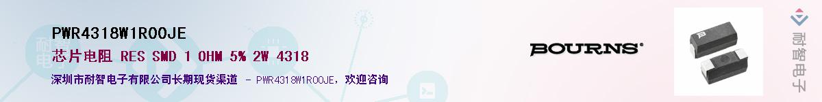 PWR4318W1R00JE��Ӧ��-���ǵ���