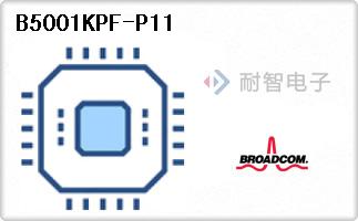 B5001KPF-P11