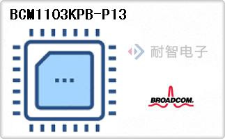 BCM1103KPB-P13