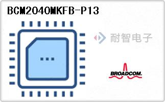 BCM2040MKFB-P13