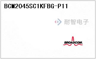 BCM2045SC1KFBG-P11