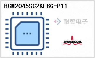 BCM2045SC2KFBG-P11