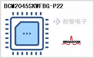 BCM2045SKWFBG-P22