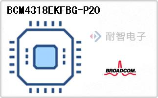 BCM4318EKFBG-P20