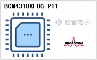 BCM4318KFBG P11