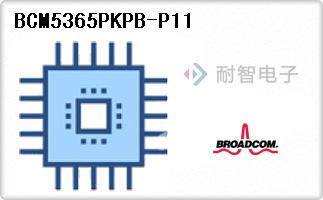 BCM5365PKPB-P11