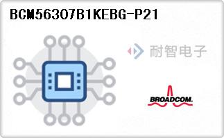 BCM56307B1KEBG-P21