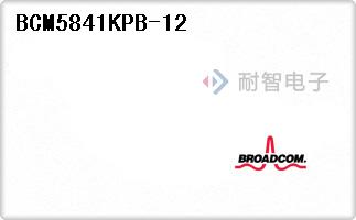 BCM5841KPB-12