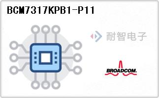 BCM7317KPB1-P11