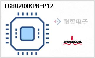 TC8020XKPB-P12