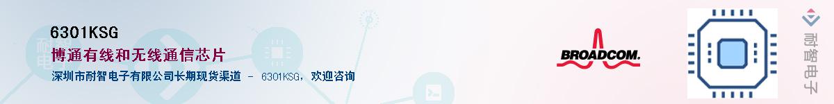 6301KSG��Ӧ��-���ǵ���