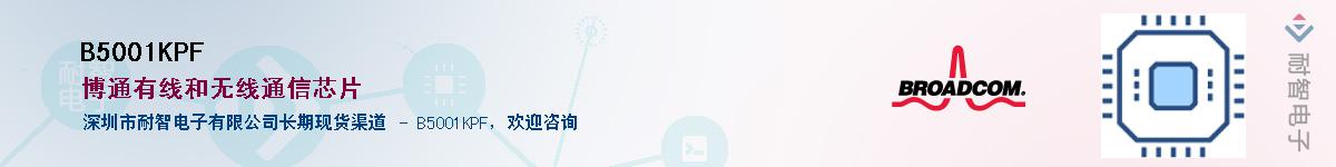 B5001KPF��Ӧ��-���ǵ���