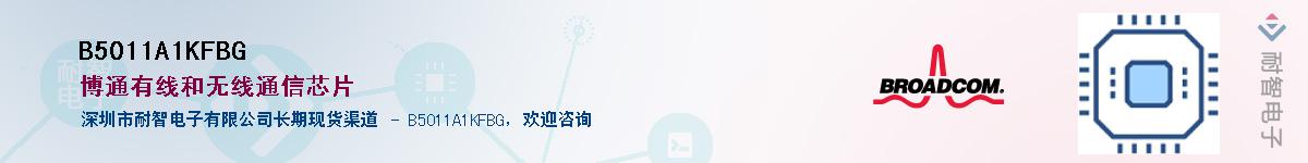 B5011A1KFBGӦ-ǵ