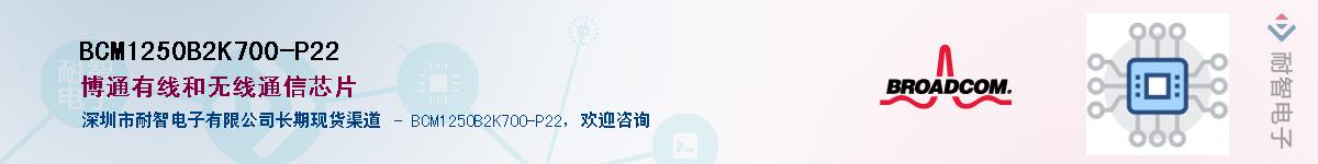 BCM1250B2K700-P22��Ӧ��-���ǵ���