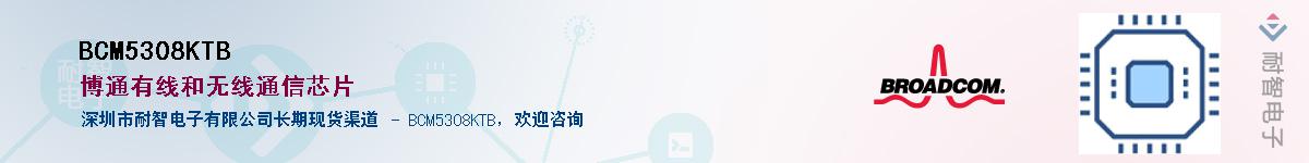 BCM5308KTB��Ӧ��-���ǵ���