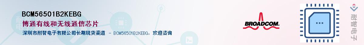 BCM56501B2KEBG��Ӧ��-���ǵ���