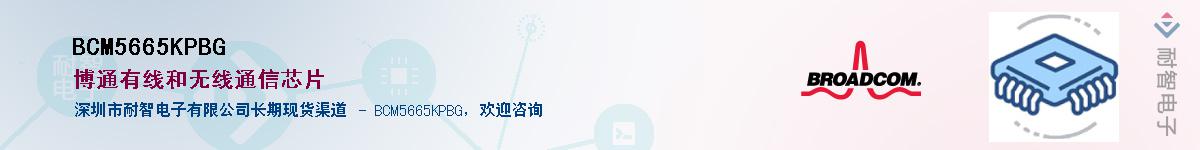 BCM5665KPBG��Ӧ��-���ǵ���