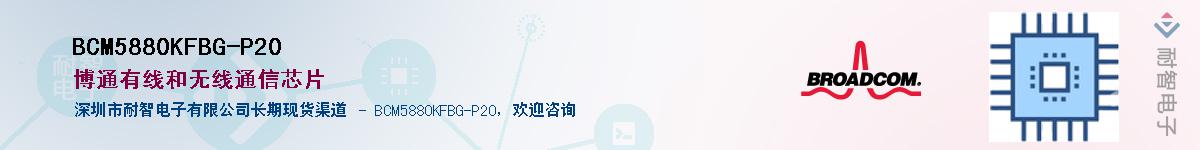 BCM5880KFBG-P20��Ӧ��-���ǵ���