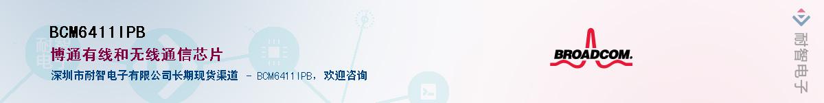 BCM6411IPB��Ӧ��-���ǵ���