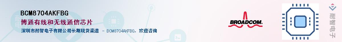 BCM8704AKFBG��Ӧ��-���ǵ���