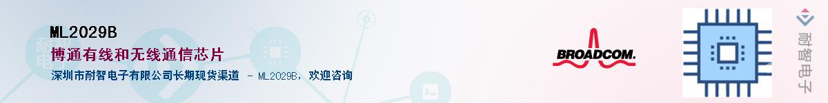 ML2029B��Ӧ��-���ǵ���