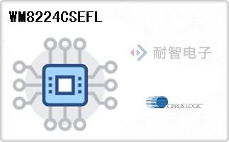 WM8224CSEFL