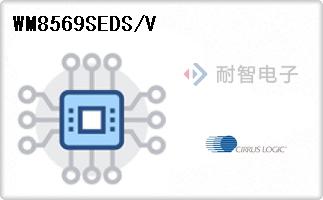 WM8569SEDS/V