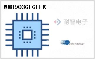CirrusLogic公司的编解码器芯片-WM8903CLGEFK
