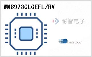 WM8973CLGEFL/RV