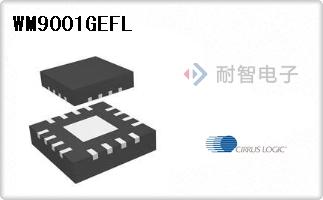 WM9001GEFL