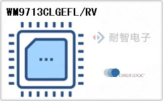 WM9713CLGEFL/RV