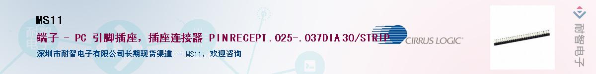 MS11Ӧ-ǵ