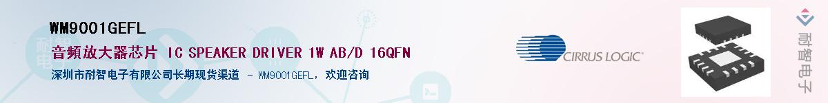 WM9001GEFLӦ-ǵ