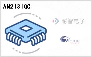 AN2131QC
