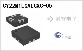 CY22M1LCALGXC-00