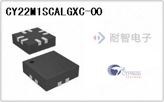 CY22M1SCALGXC-00