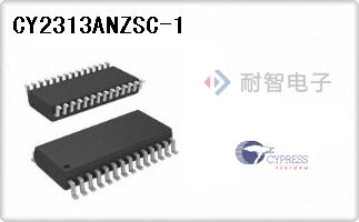 CY2313ANZSC-1
