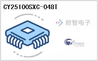 CY25100SXC-048T