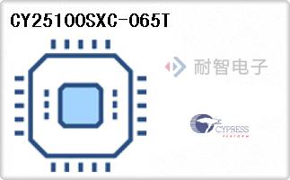 CY25100SXC-065T