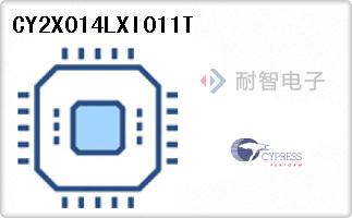 CY2X014LXI011T代理