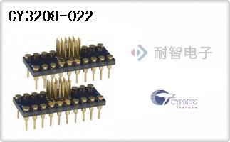 CY3208-022