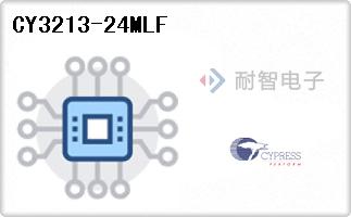 CY3213-24MLF
