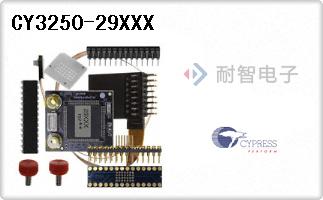 CY3250-29XXX
