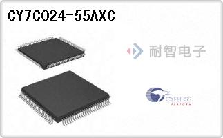 CY7C024-55AXC