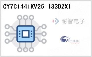 CY7C1441KV25-133BZXI