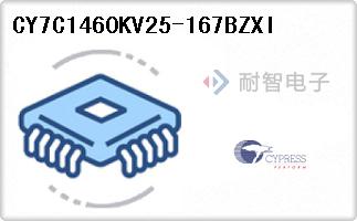 CY7C1460KV25-167BZXI