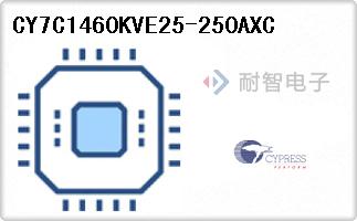 CY7C1460KVE25-250AXC