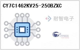 CY7C1462KV25-250BZXC