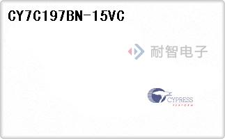 CY7C197BN-15VC