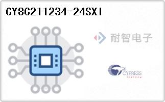 CY8C211234-24SXI